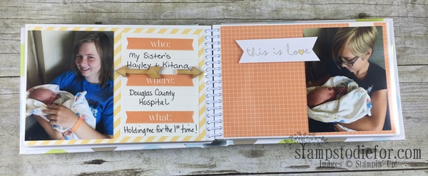Project Life by Stampin Up Sisters