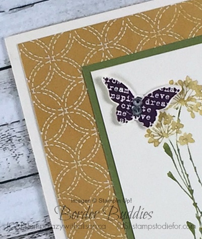 Butterfly basics butterfly stampin up