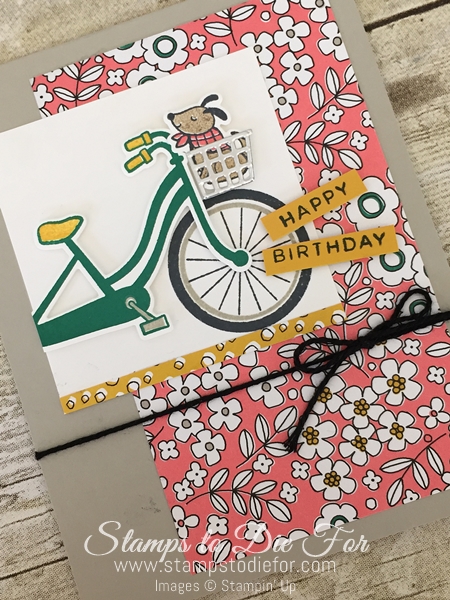 Pick a Pattern Paper and Bike Ride stamp set by Stampin' Up! www.stampstodiefor.com 2