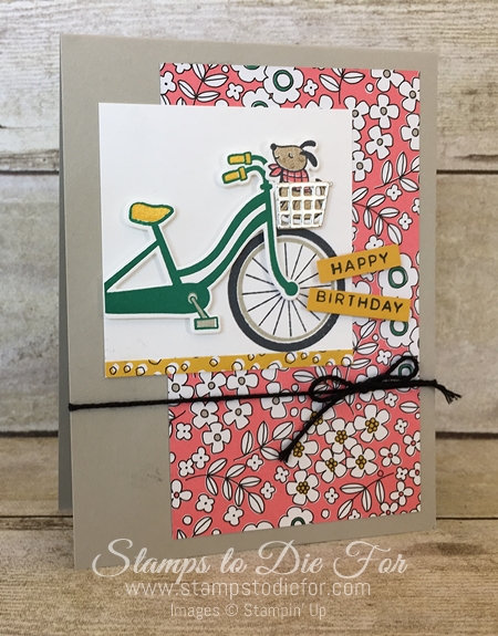 Pick a Pattern Paper and Bike Ride stamp set by Stampin' Up! www.stampstodiefor.com