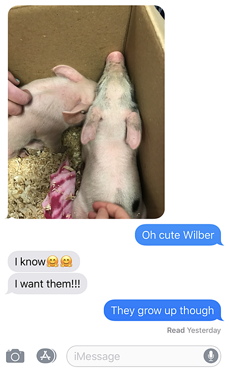 Our texting on This Little Piggy