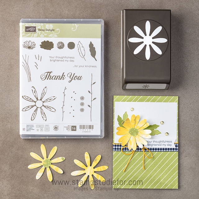 Delightful daisy suite by stampin up