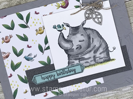 Sunday Sketches SS044 card sketch or template using Animal Outing stamp set and framelits by Stampin' Up! www.stampstodiefor.com diag