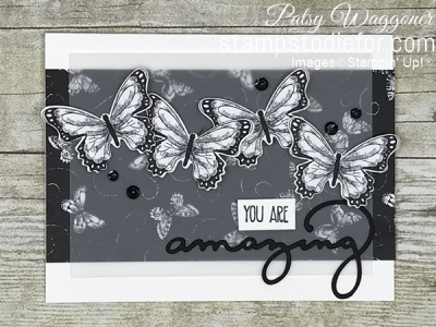 Card CASE from page 9 of the 2019 Sale-a-brations Catalog using Botanical Butterfly Paper #SAB #blackandwhite