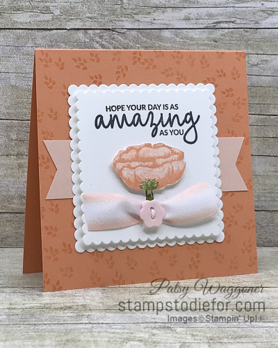 CASE card from page 51 of the 2019 Occasions Catalog using Incredible You stamp set by #stampinup #cardcase 2 (2)