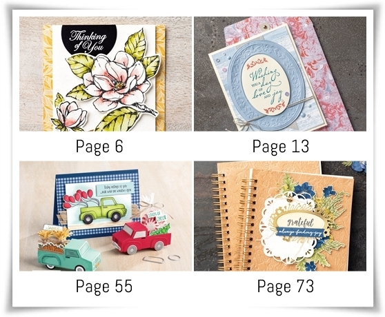 New catalog samples pages