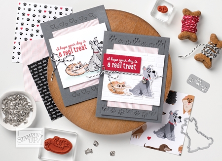 Pampered Pets Stamp Set from the Playful Pets Suite of products by Stampin’ Up!®
