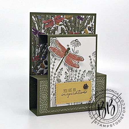 Fun fold card created with Dragon Fly Garden Stamp Set by Stampin Up