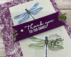 Batch_Just in Case Dragonfly 2 www.stampcrazywithalison.com