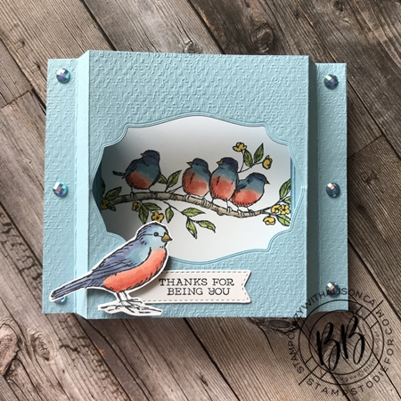Shadow Box Card - Free As A Bird Stamp Set by Stampin' Up! 2