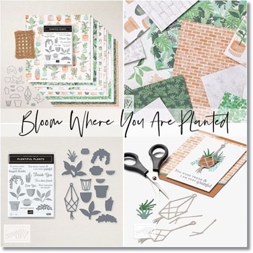 Bloom where you are planted suite of products by Stampin’ Up!