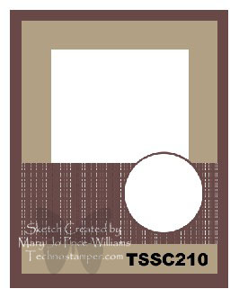 Stamp Challenge TSSC 210